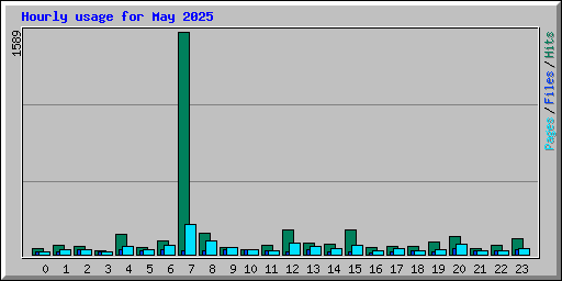 Hourly usage for May 2025