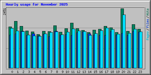 Hourly usage for November 2025