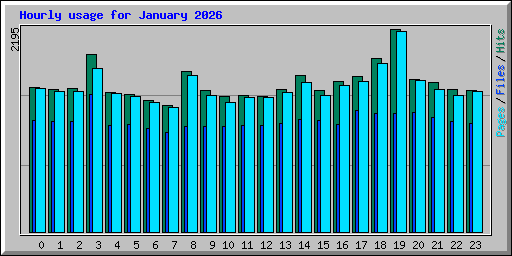 Hourly usage for January 2026